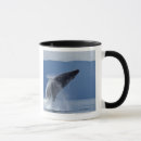 Search for humpback whale mugs Fish