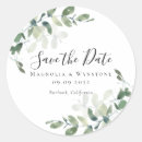 Search for eucalyptus stickers Chic