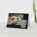 Search for speech bubbles cards Animal
