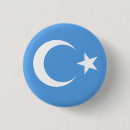 Search for uyghur flag Xinjiang