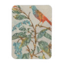 Search for aviary magnets Birds