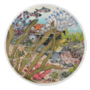 Search for beach knobs and pulls Sea life