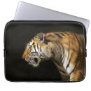 Search for siberian electronics Zoo