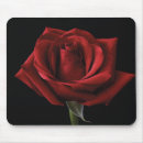 Search for rose petals electronics Roses