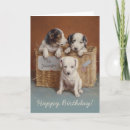 Search for puppy cards Celebrations
