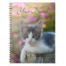 Search for pink fluffy notebooks Cat