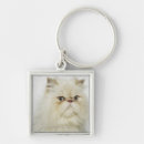 Search for persian cat key rings Nature