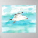 Search for gull posters Blue