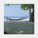 Search for hammock magnets Nature