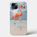 Search for aruba iphone cases Lesser antilles