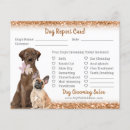 Search for groom flyers Dog groomer