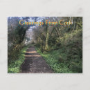 Search for cork postcards Irish