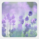 Search for 2 stickers Purple