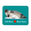 Search for envelope seals magnets Nature