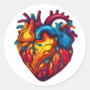 Search for heart anatomy stickers Medical