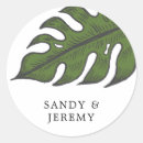 Search for green palm leaf stickers White