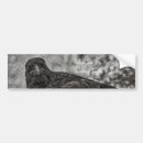 Search for raven bumper stickers Bird