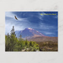 Search for ben nevis United kingdom