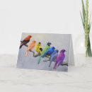 Search for canary bird cards Birds