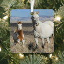Search for desert christmas tree decorations Horse