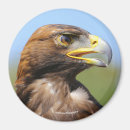 Search for visions magnets Eagle