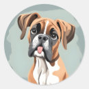 Search for boxer stickers Cute