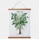 Search for palm frond art Illustration