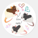 Search for fancy rat Fancy rats