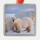 Search for refuges christmas tree decorations National wildlife refuge