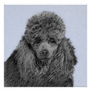 Search for black poodle posters Cute