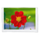 Search for photography pillowcases Botanical