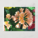 Search for lilly horizontal postcards Green
