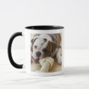 Search for teething mugs Close up