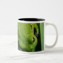 Search for tree frog mugs Close up