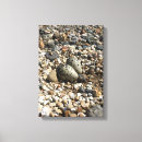 Search for eggs canvas prints Nature
