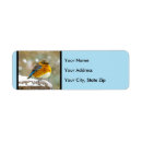 Search for eastern bluebird return address labels Songbird