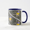 Search for gouldian mugs Colourful