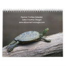 Search for turtle calendars Reptile