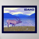 Search for wapiti posters Elk