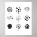 Search for black and white dandelion posters Botanical