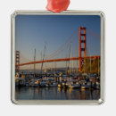 Search for san francisco christmas tree decorations Reflection