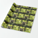 Search for raccoon wrapping paper Wildlife