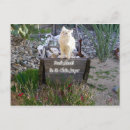 Search for we miss you postcards Cat