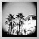 Search for black and white beach posters Tree