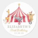 Search for carousel birthday Circus