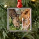 Search for thoroughbred horse christmas tree decorations Foal