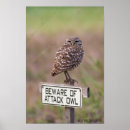 Search for burrowing posters Owl