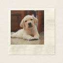 Search for labrador napkins Yellow