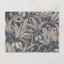 Search for botanical study postcards Plants