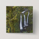 Search for river fall badges Creek
